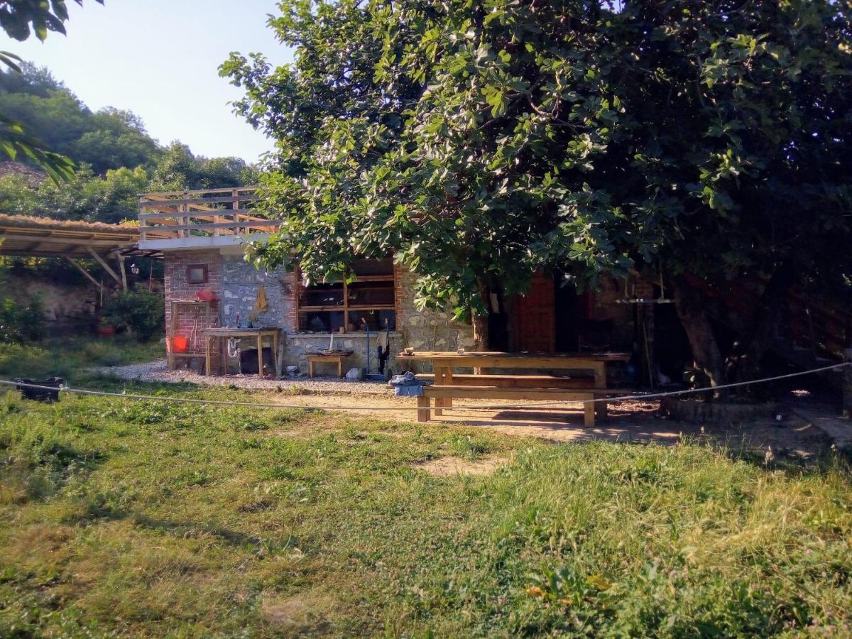 The House In The Village Pellumbas Exteriör bild